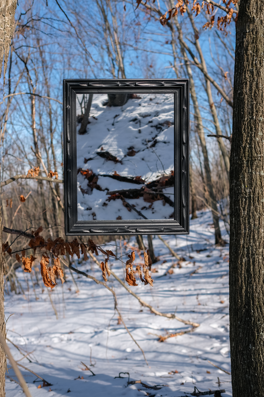 Vintage Mirror in Hand-Carved Frame