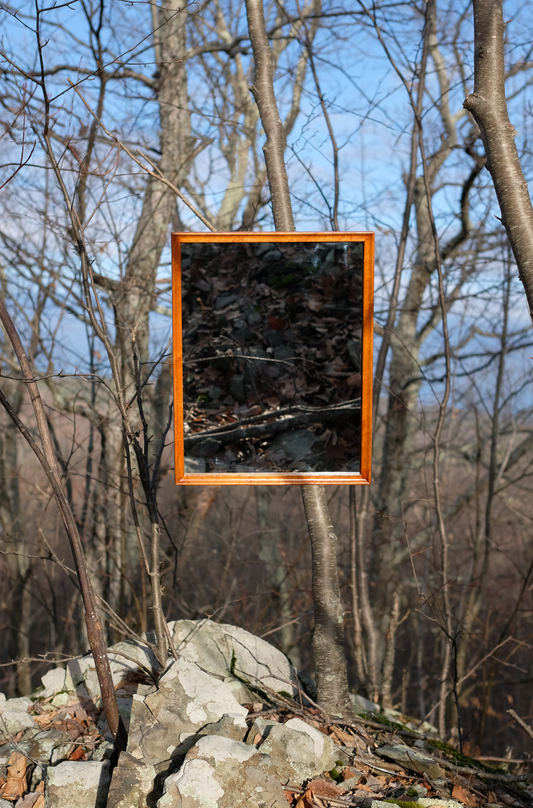 Mirror in Vintage Bird's Eye Maple Frame
