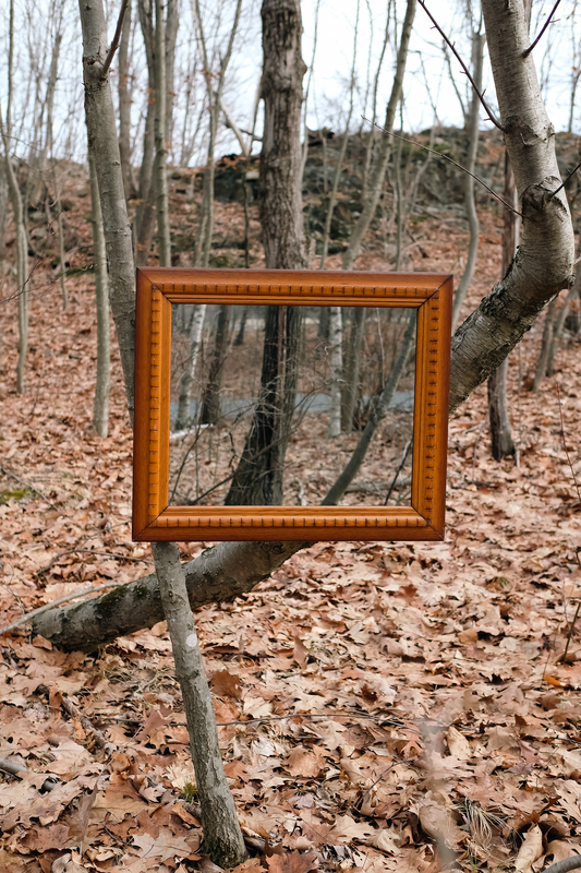 Mirror in Antique Carved Oak Frame