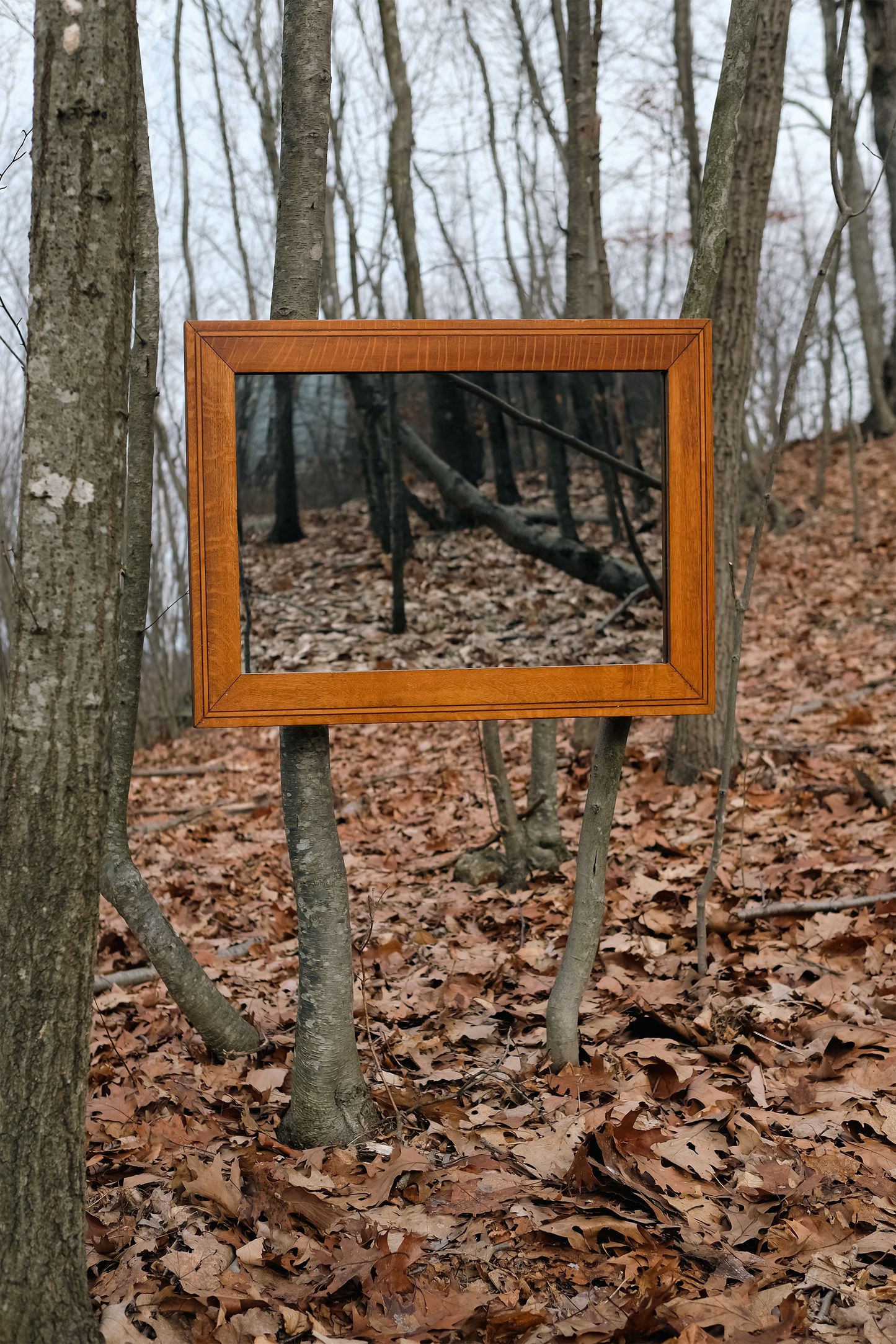 Mirror in Antique Quarter-Sawn Oak Frame